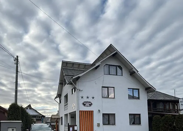 Casa Mocanitei Vişeu de Sus