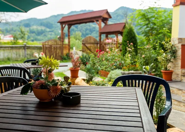 Pension Agnes Vişeu de Sus